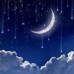 Meet your Posher, Emerson jay